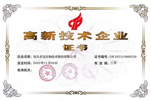 高新手艺企业